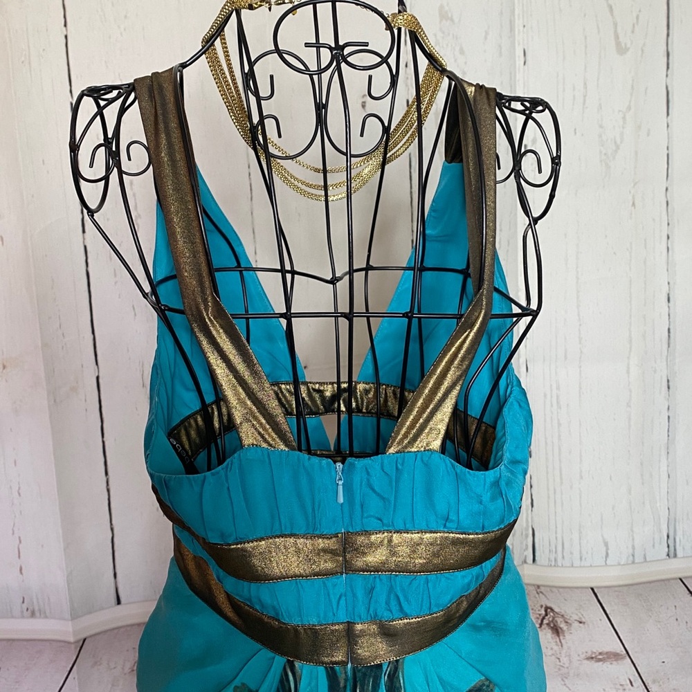 Bebe Maxi Dress 100% silk - Picture 10 of 12